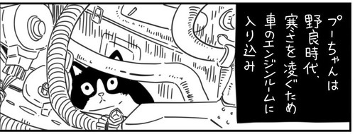 猫漫画 無料 感動 本当にあった怖い話 おじいちゃん 野良猫