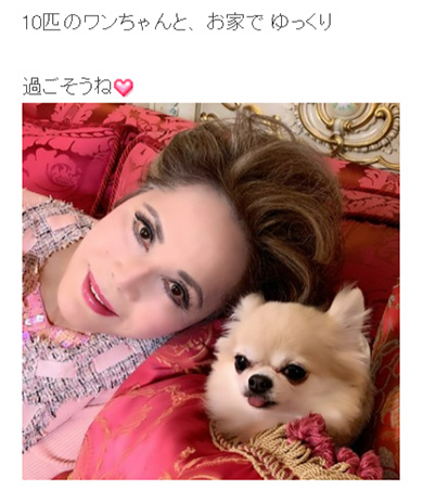 デヴィ夫人 愛犬 手術 子宮蓄膿症