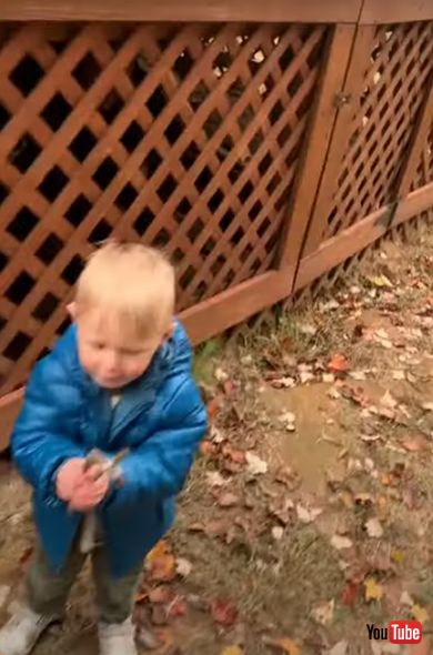 子ども　kids　赤ちゃん　いたずら　ハプニング動画　海外動画　男の子