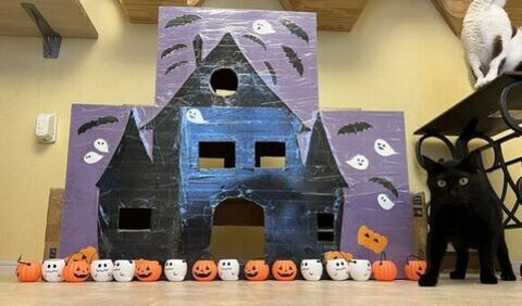 ハツくん 猫 暖炉 ストーブ