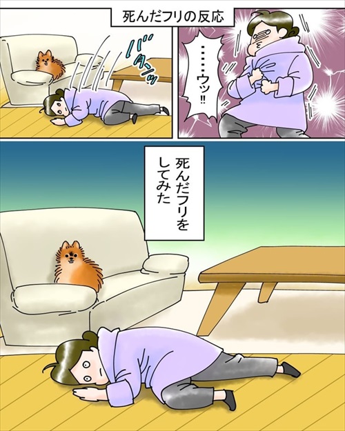 犬臭　犬　ワンコ　漫画　ポメラニアン