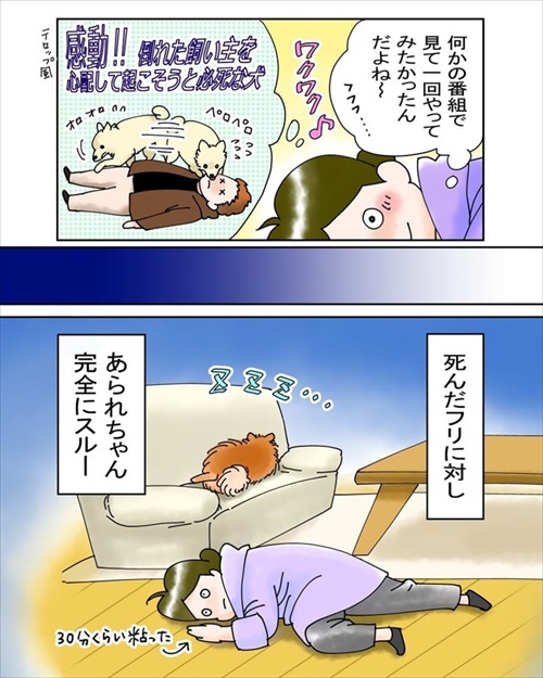 犬臭　犬　ワンコ　漫画　ポメラニアン