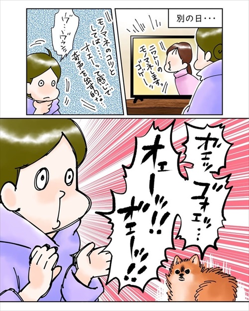 犬臭　犬　ワンコ　漫画　ポメラニアン