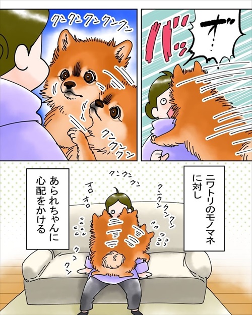 犬臭　犬　ワンコ　漫画　ポメラニアン