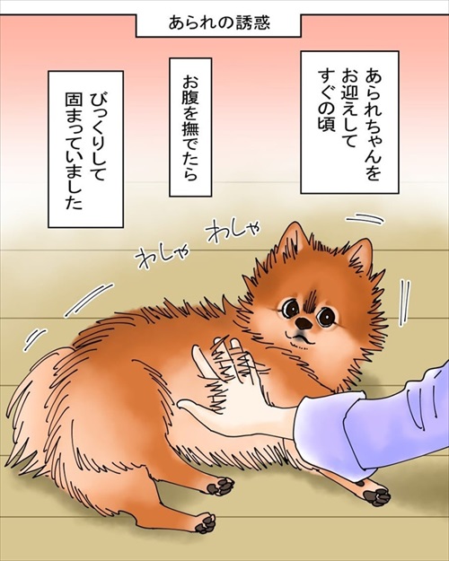 犬臭　犬　ワンコ　漫画　ポメラニアン