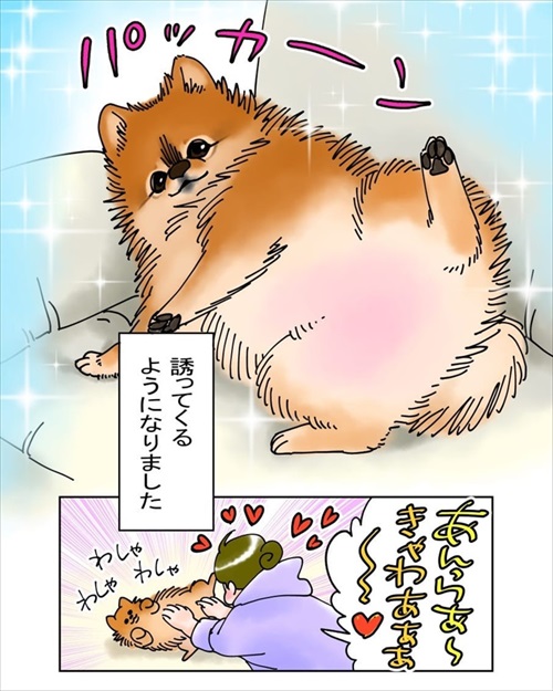犬臭　犬　ワンコ　漫画　ポメラニアン
