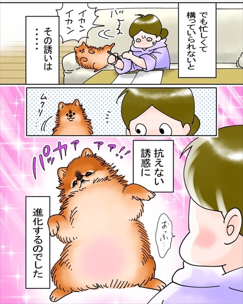 犬臭　犬　ワンコ　漫画　ポメラニアン