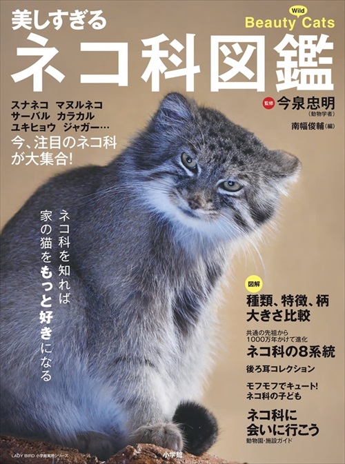 美しすぎるネコ科図鑑