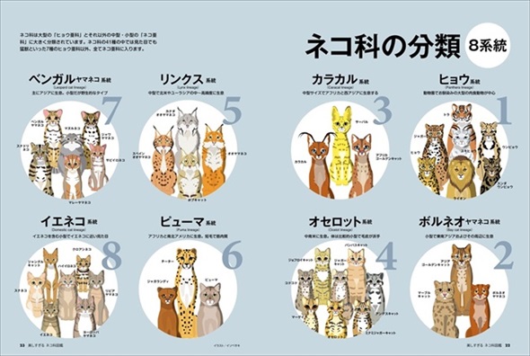 美しすぎるネコ科図鑑 猫 無料 ためし読み きれい 猫画像 かわいい