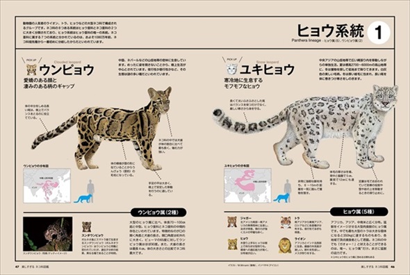 美しすぎるネコ科図鑑 猫 無料 ためし読み きれい 猫画像 かわいい マヌルネコ スナネコ ユキヒョウ