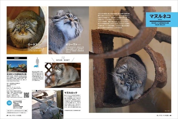 美しすぎるネコ科図鑑