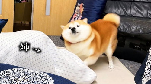 おすすめ