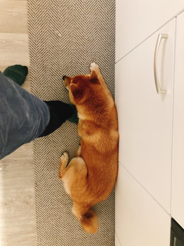 琥太郎くんいろいろ