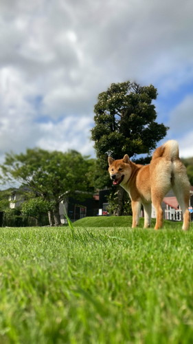 琥太郎くんいろいろ