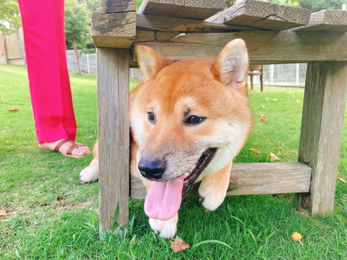 琥太郎くんいろいろ