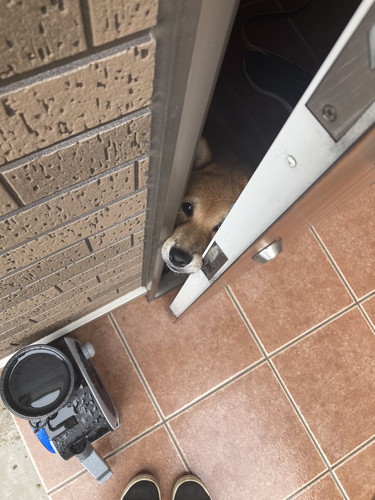 琥太郎くんいろいろ