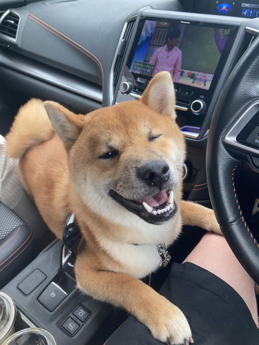 琥太郎くんいろいろ