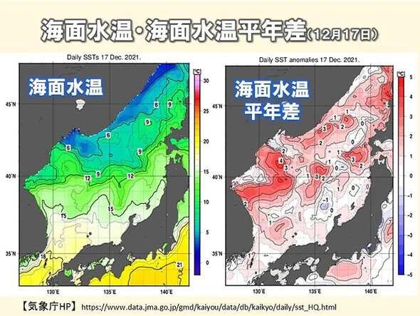 クリスマスの夜から年末寒波襲来