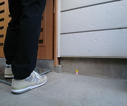 刺身タンポポで作った開店祝いを玄関前に置いたところ