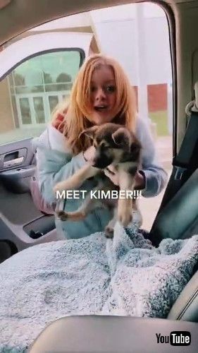 「Girl Gets Surprised With Puppy - 1276688」