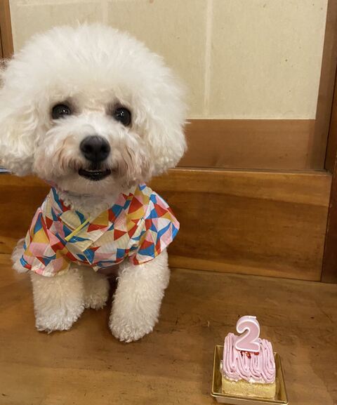 家族写真 カメラ目線 タル ビション