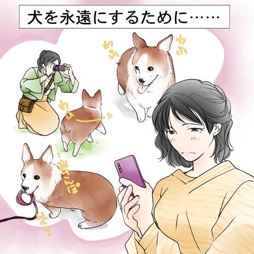 見上げるレモンちゃん 犬 感動 わんこ 涙 エピソード イラスト かわいい コーギー
