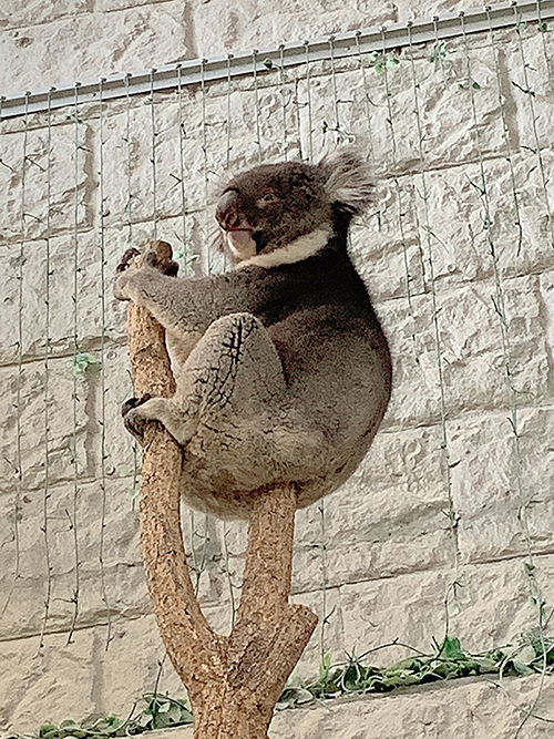 突き刺さるゆうきさん
