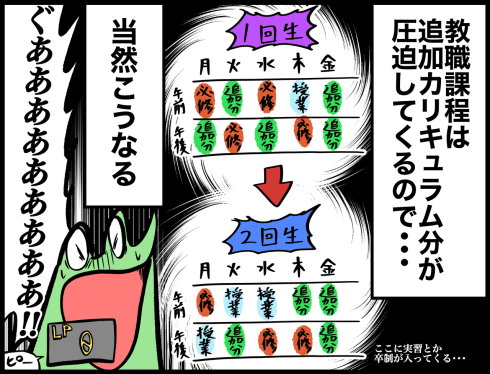 教職課程 教員免許 カエルDX 漫画