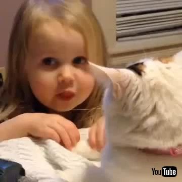 「Toddler Annoys Cat - 1269304」