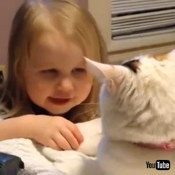 「Toddler Annoys Cat - 1269304」