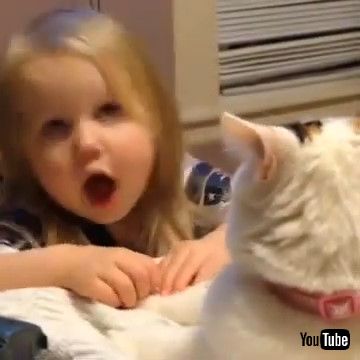 「Toddler Annoys Cat - 1269304」