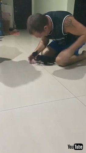 子猫 つるん 滑る 飼い主 足の間 繰り返す