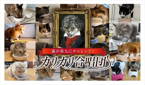 第九を奏でる猫ちゃん