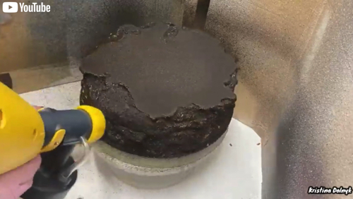 躍動感たっぷりのゴジラケーキ