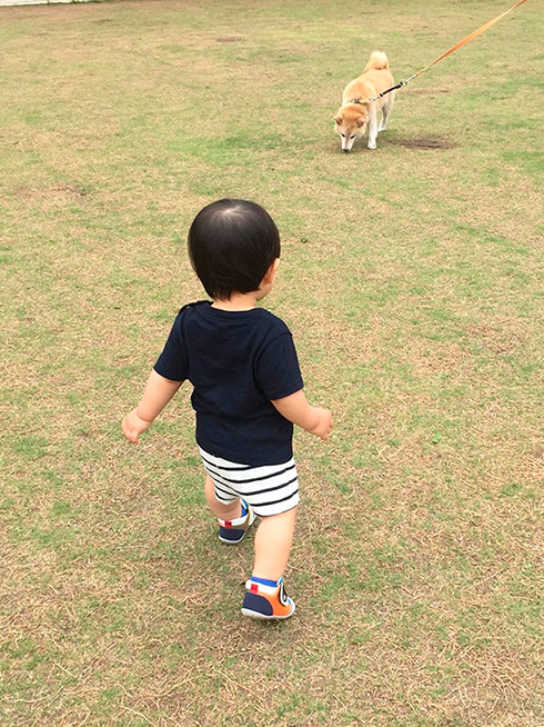 うめ吉さん 柴犬 おばあちゃん 高齢 ご長寿 ワンコ かわいい ほっこり 癒される Shiba
