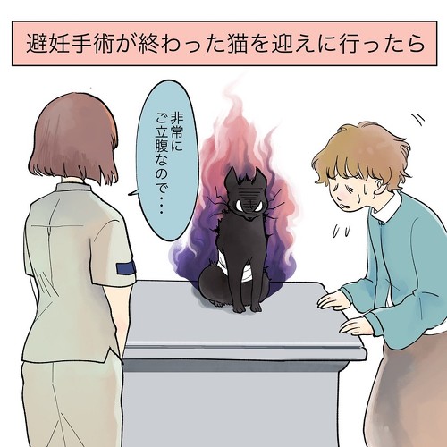 ねこ