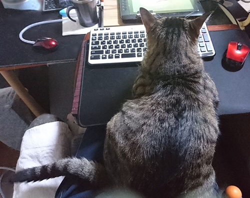 おひざにすわるドンくん