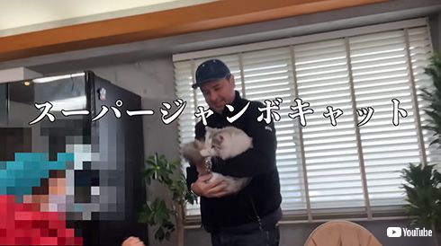 仲里依紗 実家 長崎 初公開