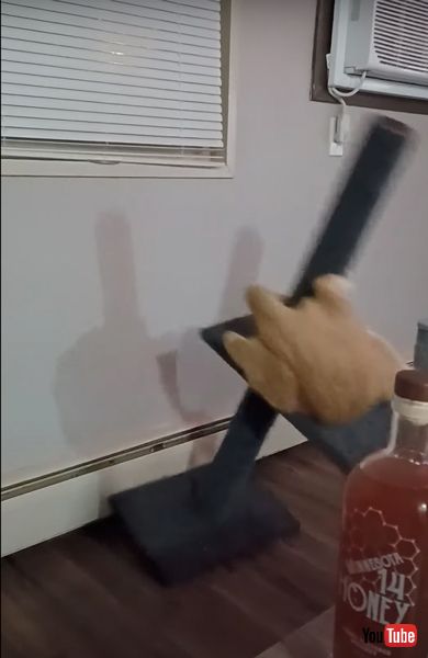 猫 尻尾 ポールダンス キャットタワー グルグル 転倒