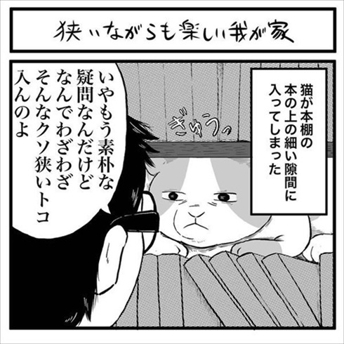 ねとらぼ生物部で読まれた記事漫画 マンガ 漫画 動物 猫 犬 あるある 感動 ランキング