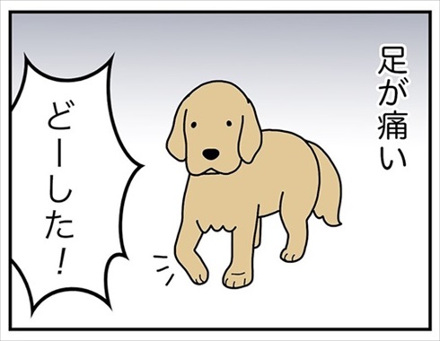 ねとらぼ生物部で読まれた記事漫画 マンガ 漫画 動物 猫 犬 あるある 感動 ランキング