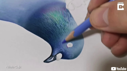 躍動感たっぷりの鳩のイリュージョンアート