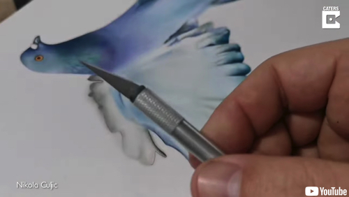 躍動感たっぷりの鳩のイリュージョンアート