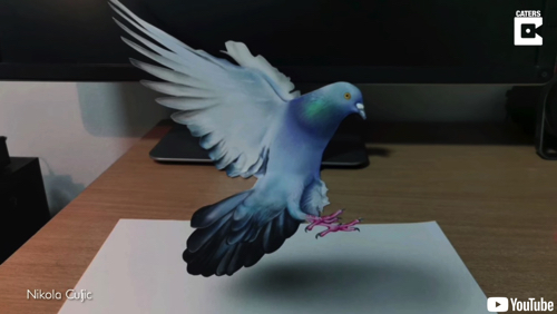躍動感たっぷりの鳩のイリュージョンアート