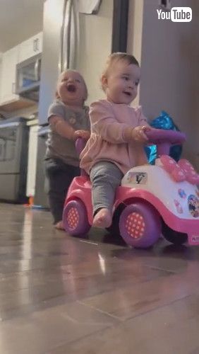 「Baby Boy Belly Laughs While Pushing Twin Sister || ViralHog」