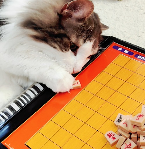 ペット手帳 ベストショット