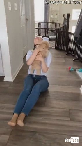 「Excited Pup Missed Their Person || ViralHog」 ワンコ 再会 かわいい 動画 感動 犬 海外動画 ほっこり