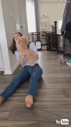 「Excited Pup Missed Their Person || ViralHog」 ワンコ 再会 かわいい 動画 感動 犬 海外動画 ほっこり