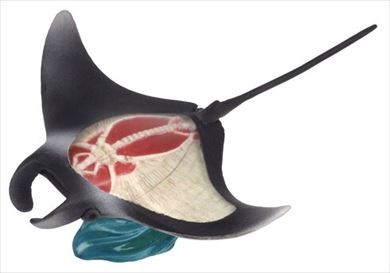 なかみまるみえフィギュア　骨の仕組み編03