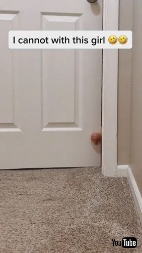 「Bootscooting Baby || ViralHog」